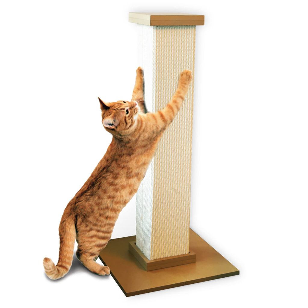 guide to stopping destructive cat scratching
