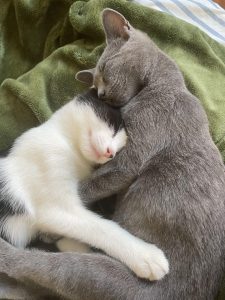 Beyond the Cuddle